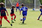 IMG_0265 (cam 0)