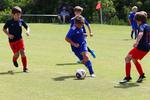 IMG_0274 (cam 0)