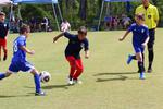 IMG_0286 (cam 0)