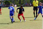IMG_0288 (cam 0)
