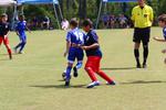 IMG_0291 (cam 0)