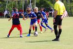 IMG_0297 (cam 0)