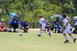 IMG_0031 (cam 0)