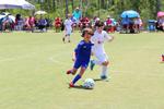 IMG_0040 (cam 0)