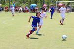 IMG_0042 (cam 0)