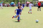 IMG_0043 (cam 0)