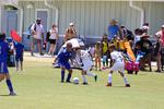 IMG_0079 (cam 0)