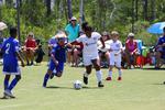IMG_0103 (cam 0)