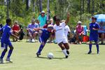 IMG_0104 (cam 0)