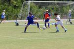 IMG_0113 (cam 0)