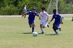 IMG_0117 (cam 0)