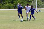 IMG_0118 (cam 0)