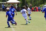 IMG_0137 (cam 0)