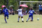 IMG_0144 (cam 0)