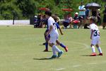IMG_0174 (cam 0)
