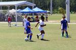 IMG_0191 (cam 0)
