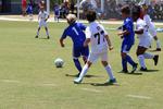 IMG_0194 (cam 0)