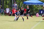 IMG_0005 (cam 0)