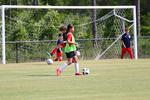 IMG_0025 (cam 0)