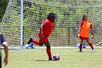 IMG_0047 (cam 0)