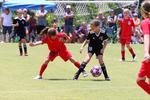 IMG_0148 (cam 0)