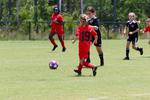 IMG_0201 (cam 0)
