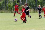 IMG_0202 (cam 0)