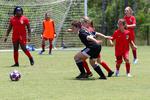 IMG_0208 (cam 0)