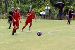 IMG_0223 (cam 0)