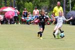 IMG_0025 (cam 0)