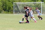 IMG_0031 (cam 0)