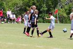 IMG_0037 (cam 0)