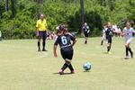 IMG_0041 (cam 0)