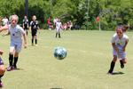 IMG_0044 (cam 0)