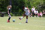 IMG_0077 (cam 0)