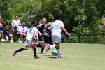 IMG_0081 (cam 0)