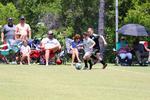 IMG_0085 (cam 0)
