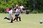 IMG_0137 (cam 0)