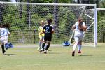 IMG_0146 (cam 0)