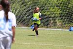 IMG_0182 (cam 0)