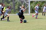IMG_0202 (cam 0)