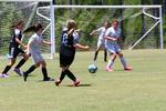 IMG_0204 (cam 0)