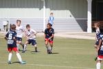 IMG_0005 (cam 0)