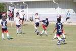 IMG_0007 (cam 0)