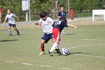 IMG_0016 (cam 0)