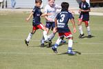 IMG_0020 (cam 0)