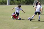 IMG_0062 (cam 0)
