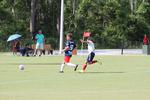 IMG_0115 (cam 0)