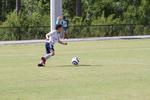 IMG_0137 (cam 0)