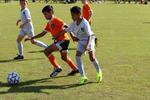 IMG_0012 (cam 0)